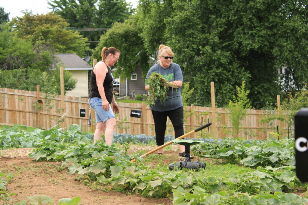 two new credit union staff members working hard in the community garden