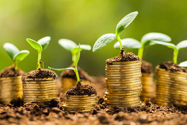 Stacks of coins sitting on dirt with small plants sprouting out of the tops.